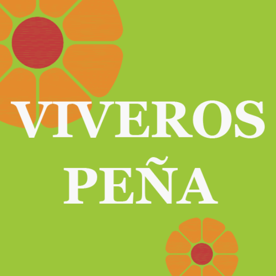 azaleas archivos - Viveros Peña - Centro jardinería, plantas y árboles en  Madrid