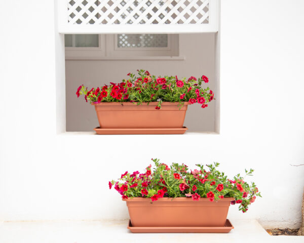 JARDINERA VENEZIA - Imagen 3