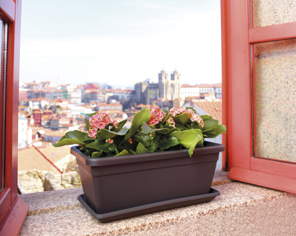 JARDINERA VENEZIA - Imagen 4