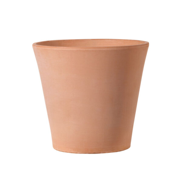 CONO GARDEN