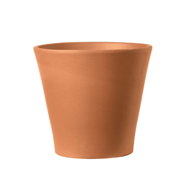 CONO GARDEN - Imagen 2